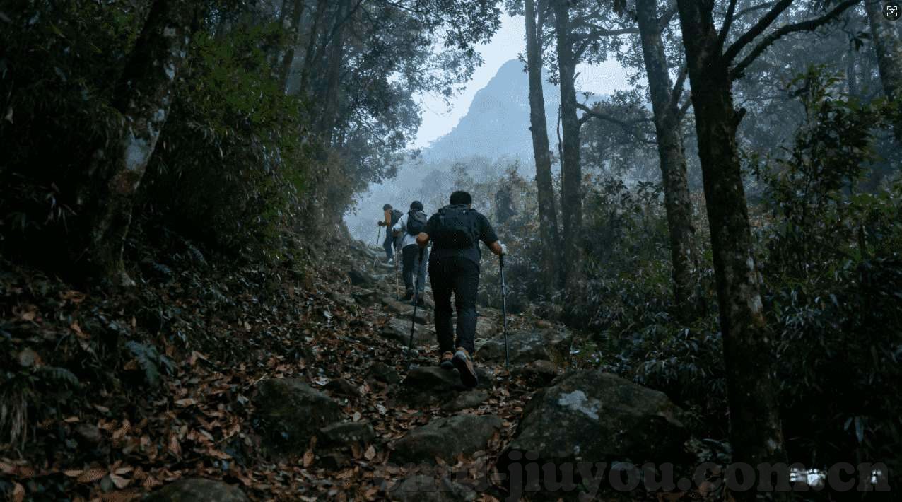 炸金花如何做到常赢-炸金花，策略与技巧助你常胜